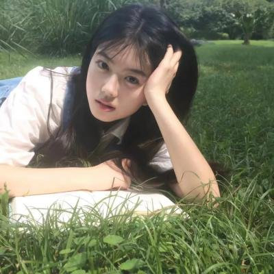 三个火枪手:达达尼昂