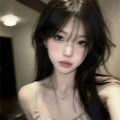 狮路历程